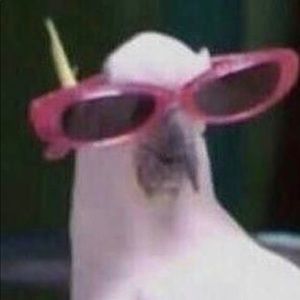 Meet your Posher, Flonch